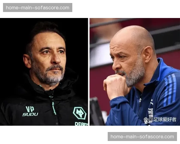 深度复盘：佩雷拉为何能再次克制阿迪萨亚？专家解析战术执行关键